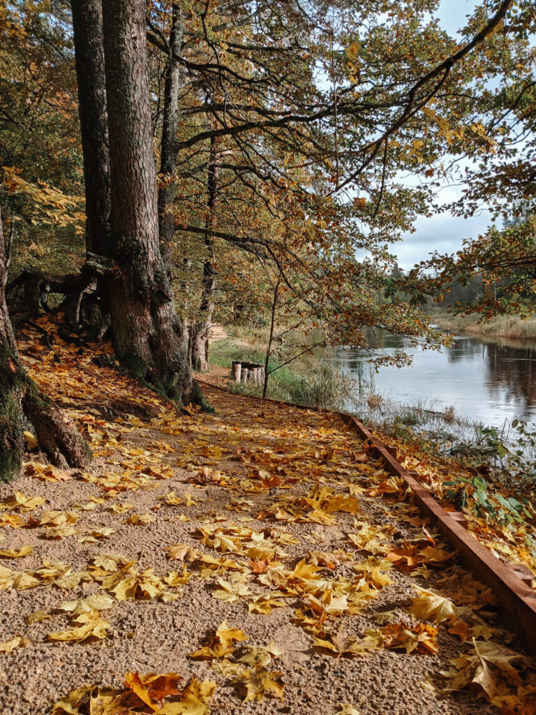 Aktualitātes Skaņākalna Dabas parkā