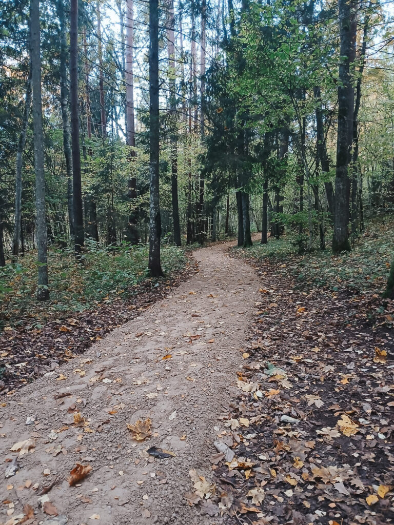 Aktualitātes Skaņākalna Dabas parkā